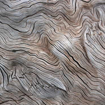 a close-up of wood material