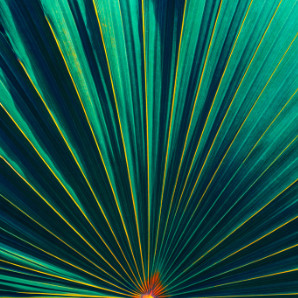 a close up of a green and yellow plant