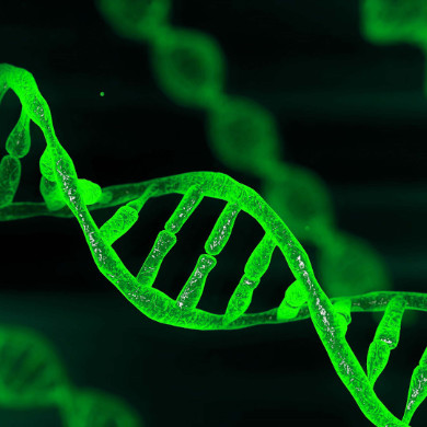 an illustration of a DNA