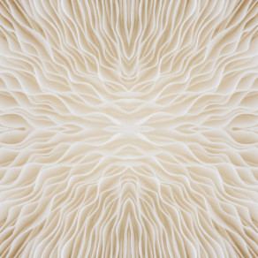 a white and brown fabric